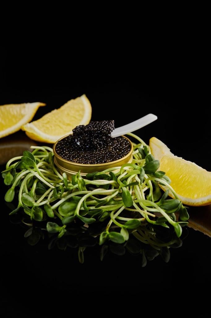 Bulgarian Sturgeon Caviar – 30g – Bulgarian Caviar